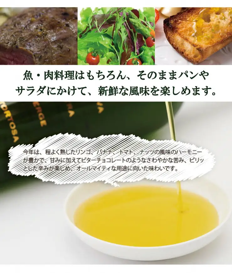 EXV.オリーブオイル　トルトサ1本入箱×4セット＆オリーブの苗木セット