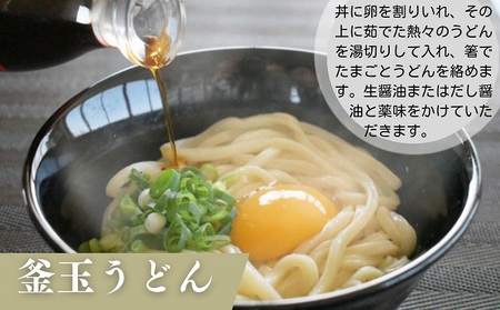 讃岐うどん 半生 太麺 紀州屋 香川県産 讃岐うどん【30人前(3人前×10袋)】