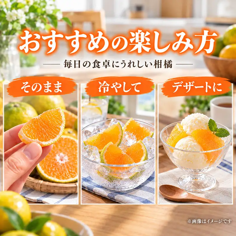 スイートスプリング 約5kg 果物類 みかん 柑橘類 フルーツ
