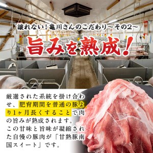 甘熟豚南国スイート豚肉(6種・4.5kg) b1-007