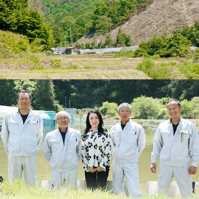 すっぽん鍋 八千代 すっぽん 鍋セット 2～3人前 スッポン コラーゲン 鍋