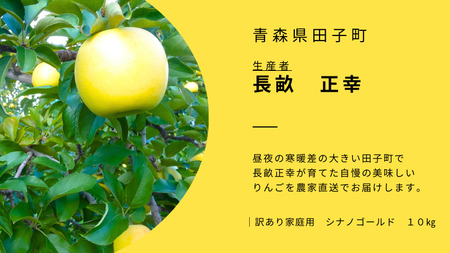 【訳あり】青森りんご田子の家庭用シナノゴールド 約10kg （1月出荷）