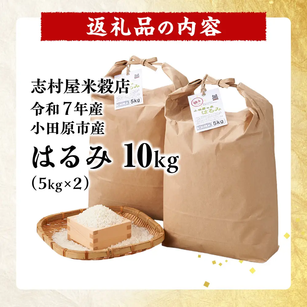 志村屋米穀店 令和7年産小田原市産　はるみ　10kg（5kgｘ2）｜お米 ご飯 神奈川県 小田原市