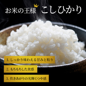コシヒカリ お米 10kg 無洗米 定期10ヶ月 コシヒカリ