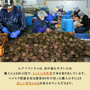  規格外品 無添加 エゾバフンウニ 塩水パック 300g　 A 23年6月上旬～8月中旬迄