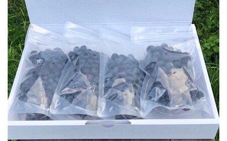 【季節限定】農薬・化学肥料不使用！愛情と栄養たっぷり冷凍ブルーベリー（1kg） 南小国産 冷凍 ブルーベリー 1kg 摘み立て 生 果物 新鮮 フレッシュ 小分け 農薬不使用 化学肥料不使用 産地直送 さこんうえの蛙 熊本 阿蘇 南小国町 送料無料
