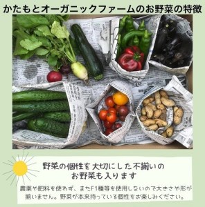 京都府・亀岡産 無農薬・自然栽培で育てた体も心も喜ぶ、かたもとオーガニックファームの季節のお野菜セット　10～20品目