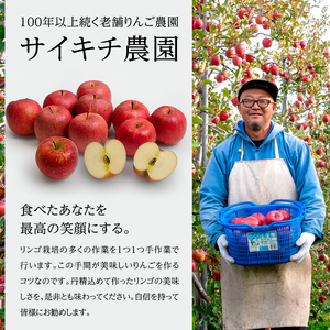 【訳あり】りんご 青森 サンふじ 約 10kg (28～36玉) リンゴ サイキチ農園 青森県 鰺ヶ沢町産 フルーツ 果物 不揃い 傷 林檎 サンフジ ふじ