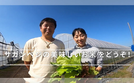 CQ010_ビーガン米20㎏　白米 【植物性で育てた完全無農薬のサガンベジブランド】
