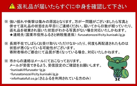 【先行予約】令和8年発送 /辰口農園の橋上梨約5kg(品種:愛宕)_1303R