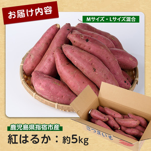 さつまいも 紅はるか 5kg サツマイモ IB084-010