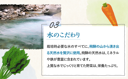 【先行予約】ありがとうファーム野菜セット 6-7品 野菜セット