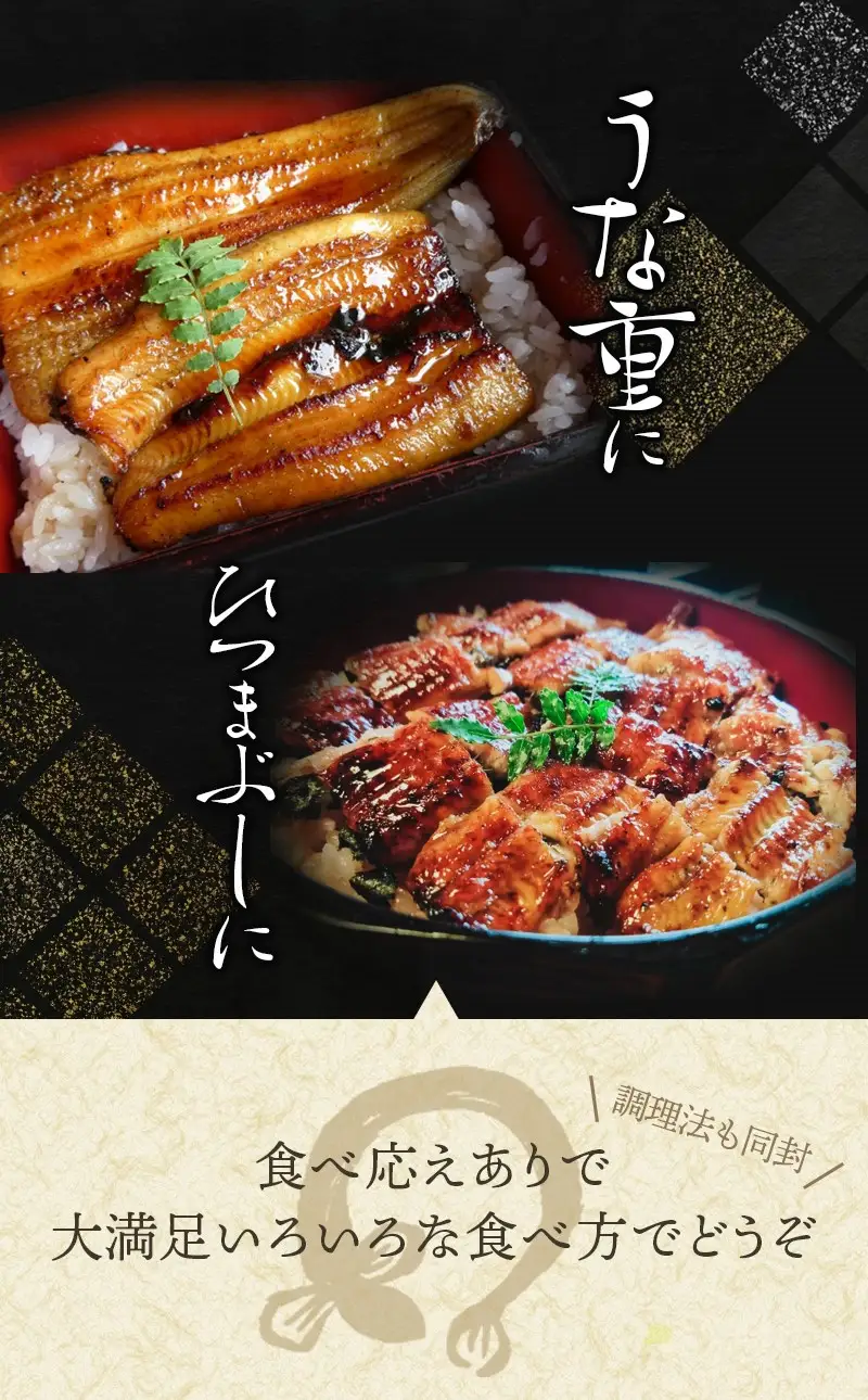 うなぎ 国産 うなぎ蒲焼き 約170g×2尾【uot302A-3】