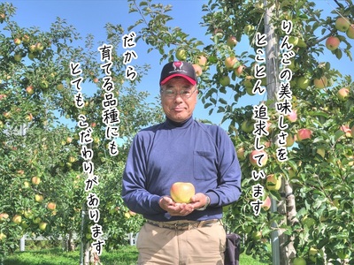 りんご ぐんま名月 ヒバリノ園 青森県産 りんご【約5kg(12～16玉)】