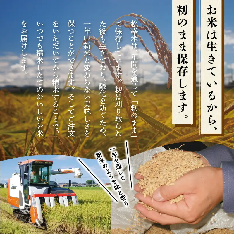 食物繊維 たっぷり ６穀入った 禄穀米 ふるさと納税 ふるさと 米 コメ こめ おこめ ギフト プレゼント お祝い返礼品 三重米 お米 精米 こしひかり コシヒカリ うるち米 もち米 ブランド米 国産 雑穀米 ブレンド 豆ごはん 3合 玄米 大麦 もち米 もっちり Q3