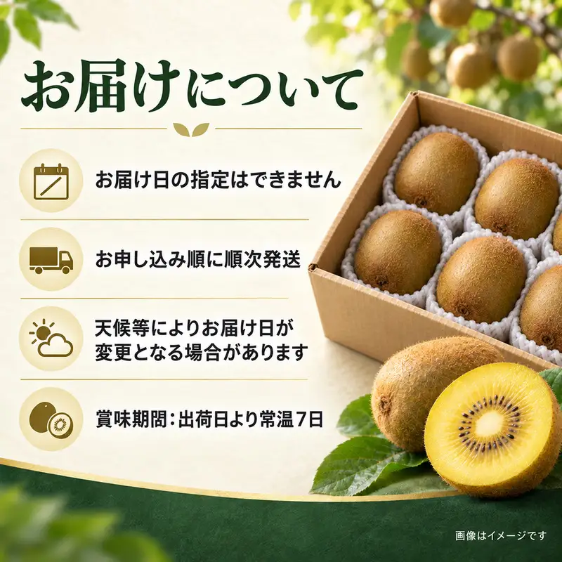 香川県オリジナルキウイ「さぬきゴールド」大玉約1.2kg　果実 甘い 讃岐 くだもの ジューシー フルーツ 果物詰合せ