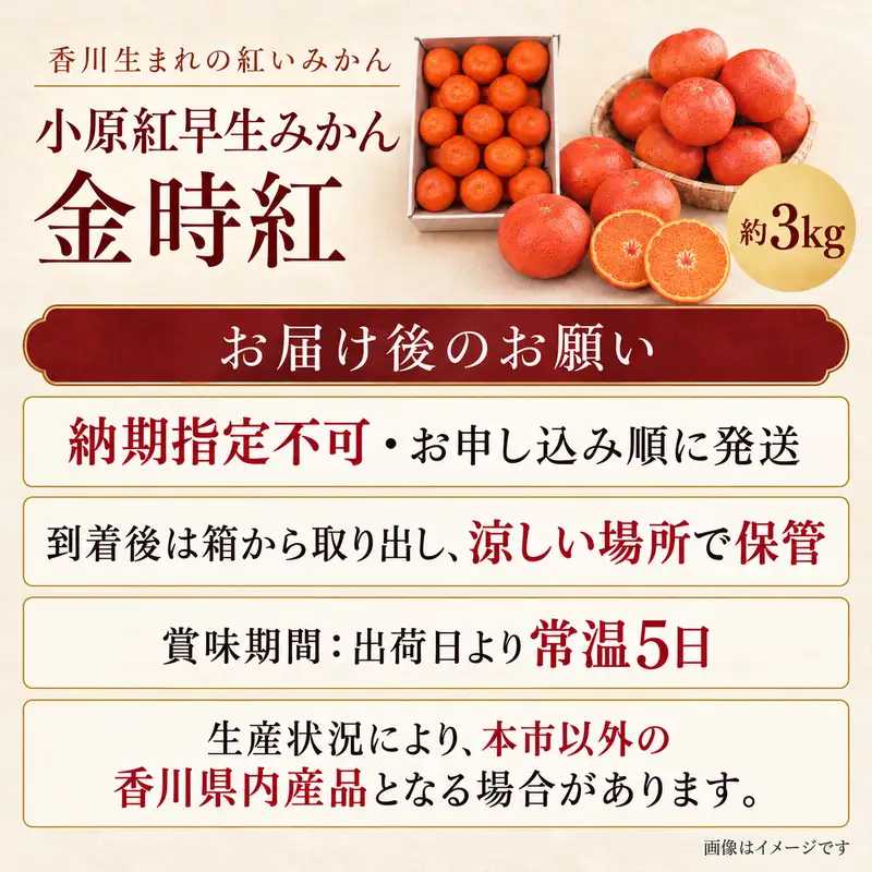 小原紅早生みかん「金時紅」約3kg  ミカン 柑橘 糖度11度 甘い 果物類 柑橘類 フルーツ 蜜柑 くだもの