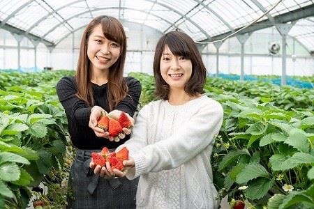 伊豆の国市いちご狩り共通券（1名様分）