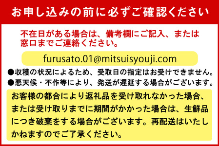 ＜ 9/15までの受付 ＞ 北海道産 ミニトマト 太陽の瞳 L サイズ 1kg 新ひだか町