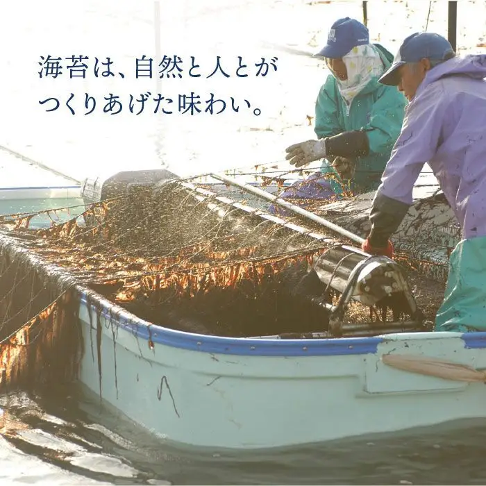 【3回定期便】佐賀のり 手塩にかけました 10個セット のり 海苔[FBC013]