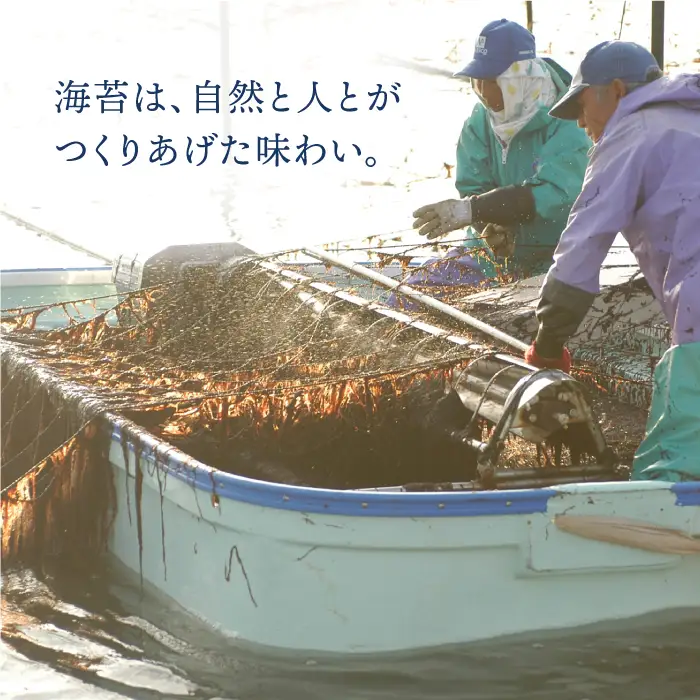 【至高の逸品】佐賀のり『紫香燦燦（しこうさんさん）』板海苔4枚×8袋 [FBC017]