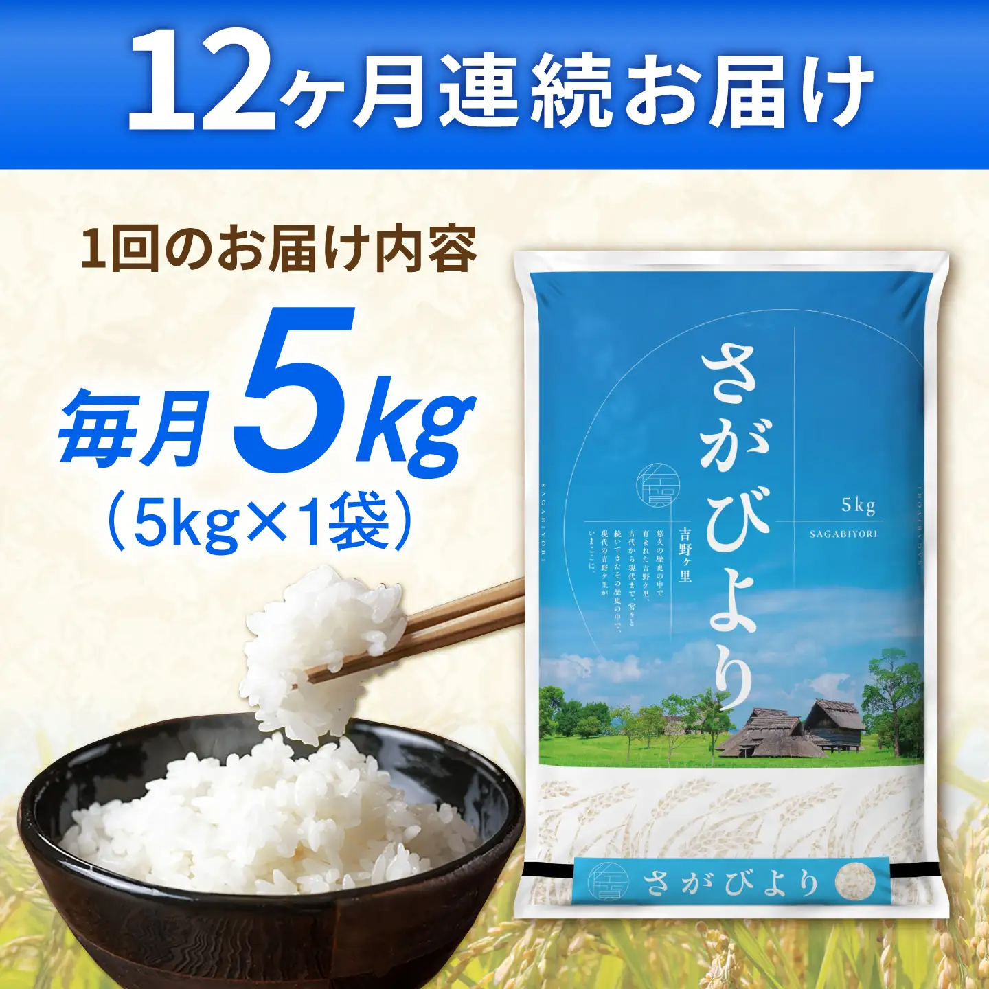 〈受付一時停止中〉【5kg×12回定期便【令和5年産】さがびより 計60kg（5kg×12回）吉野ヶ里町/増田米穀 白米 ブランド米 弁当 佐賀県産 令和5年産 新米 ご飯 ごはん 米 お米 弁当 おにぎり 国産 佐賀 ブランド ふっくら もちもち[FBM004]