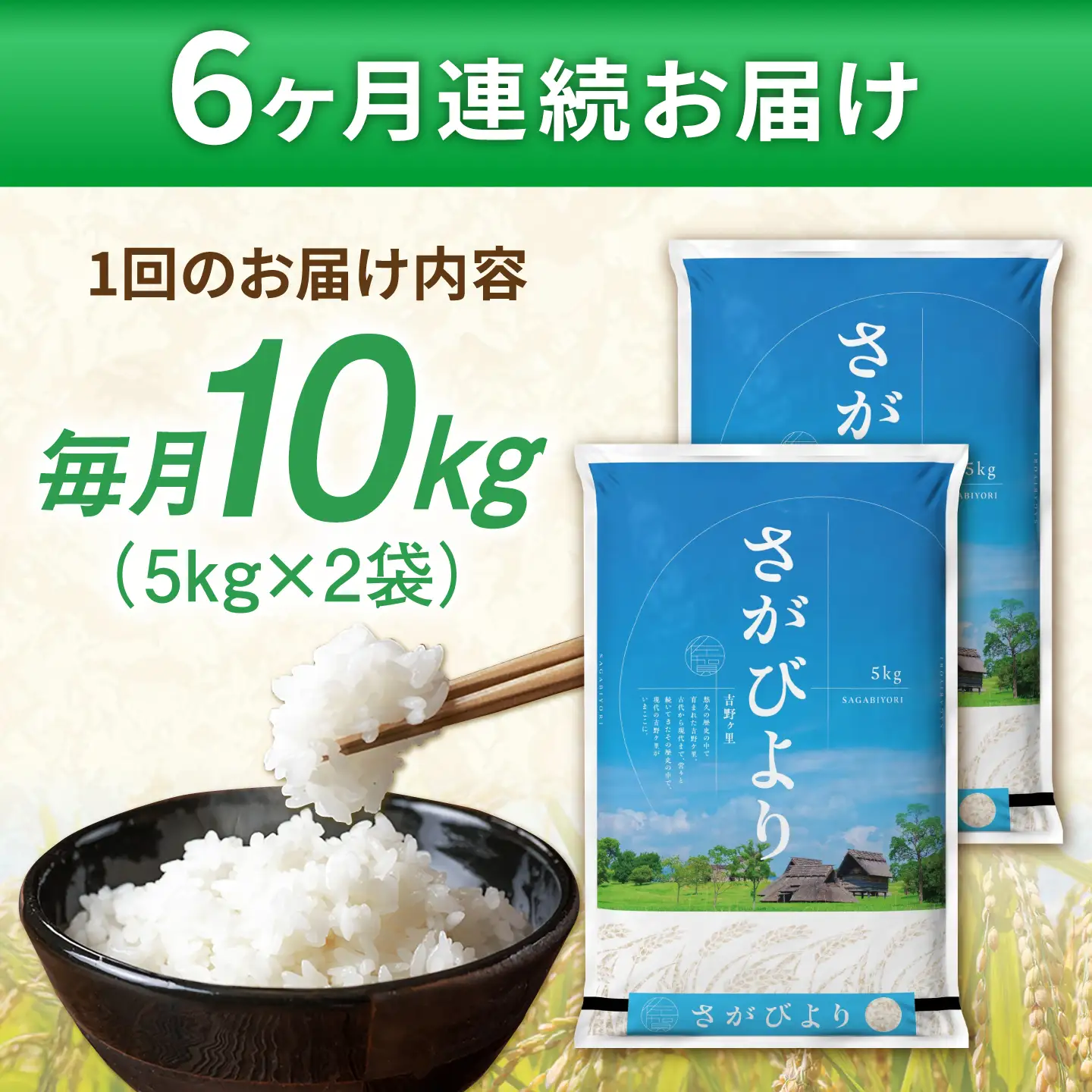 【令和7年産】【全6回定期便】さがびより 計60kg [FBM007]