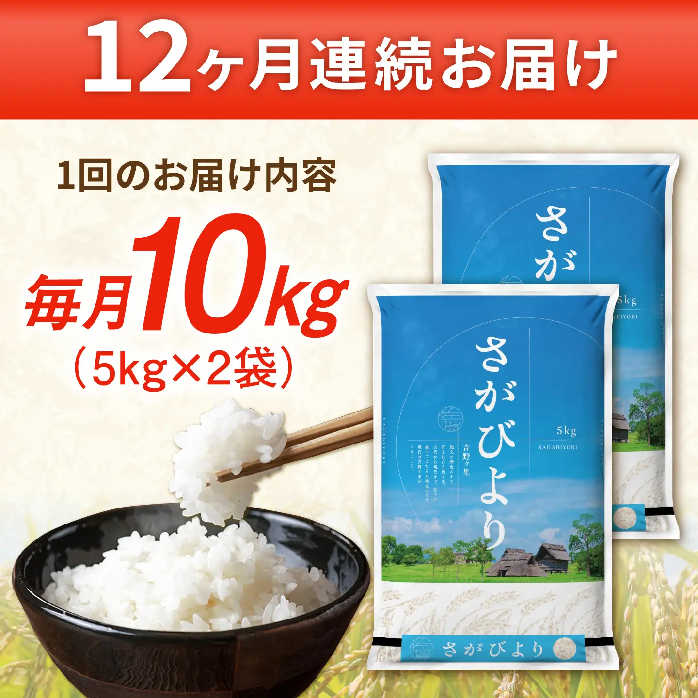 〈受付一時停止中〉【10kg×12回定期便】【令和5年産】さがびより 計120kg（5kg×2袋）吉野ヶ里町/増田米穀 白米 ブランド米 弁当 佐賀県産 令和5年産 新米 ご飯 ごはん 米 お米 弁当 おにぎり 国産 佐賀 ブランド ふっくら もちもち[FBM008]