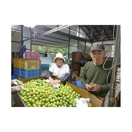梅干し 国産 南高梅 2.5キロ 塩分20% ／ ひらそ農園の梅干し 2.5kg （塩分約20%）＜004-104＞