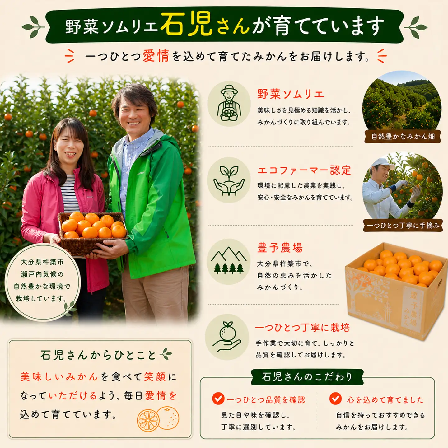 アンコール 訳あり 3.5kg 規格外 ミカン 柑橘 2027年発送 先行予約 ／ 野菜ソムリエ石児さんの「アンコール 3.5kg」＜103-017＞