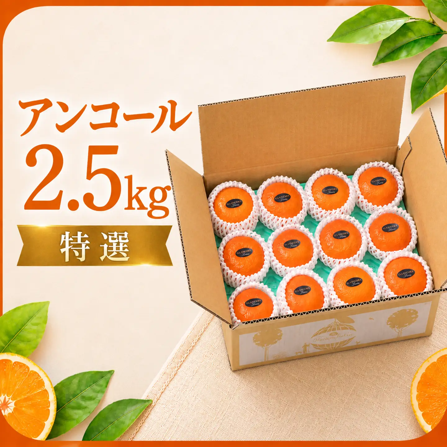 アンコール 2.5kg 特選 甘い 柑橘 2027年発送 先行予約 ／ 野菜ソムリエ石児さんの「アンコール 2.5kg」＜103-021＞