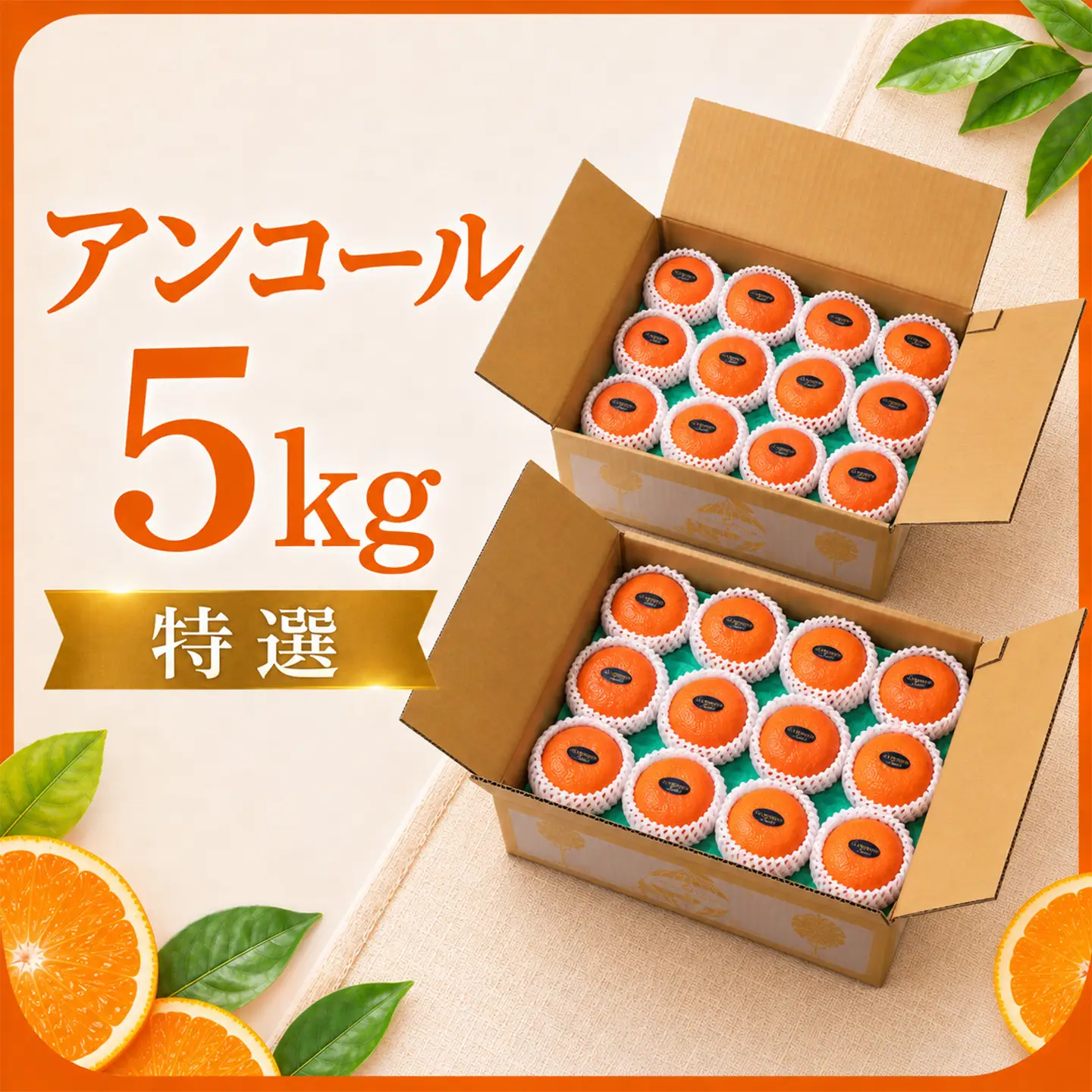 アンコール 5kg 特選 甘い 柑橘 2027年発送 先行予約 ／ 野菜ソムリエ石児さんの「アンコール 5kg（2.5kg×2箱）」＜103-022＞