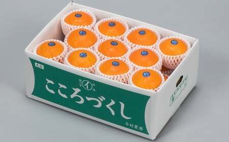 12月発送開始 おひさまきらりん 秀品 約5kg 【今村農園】 果物 みかん 期間限定 数量限定 九州 大分県 ＜107-025＞