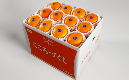 12月発送開始 おひさまきらりん 秀品 約10kg 【今村農園】 果物 みかん 期間限定 数量限定 九州 大分県 ＜107-026＞
