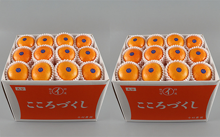 12月発送開始 おひさまきらりん 秀品 約20kg 【今村農園】 果物 みかん 期間限定 数量限定 九州 大分県 ＜107-027＞