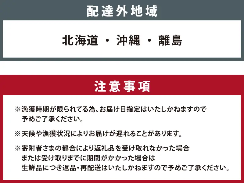【先行予約】越前がに 大 （約800g～900g） 2杯【2027年1月～3月発送】 日本海 直送
