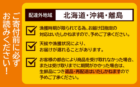 【先行予約】越前がに 大 (約1.1kg以上)×1杯【11月～12月発送】日本海 直送
