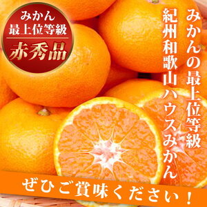 【2027年先行予約】紀州和歌山 ハウスみかん 2.5kg 赤秀品_G6029