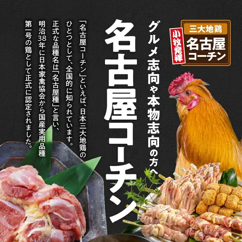 名古屋コーチン卵（30個入り) 日本三大地鶏 小牧市発祥[006K01]