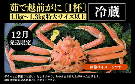 【先行予約】【12月発送限定】茹で越前がに  1杯 1.1kg～1.3kg《新鮮！茹でたてを発送》／ 高級 福井 ブランド ズワイガニ 黄色タグ ボイル 冷蔵 蟹 カニ 期間限定【年内発送 12月23日まで】※2026年12月上旬～2026年12月25日で発送 [aw002-x004_12]