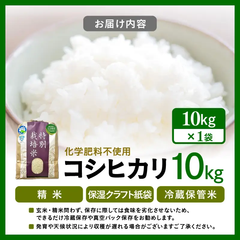 【先行予約】【令和8年産】 化学肥料不使用コシヒカリ 精米10kg（10kg×1袋） / 白米 米 福井県あわら市産 美味しい 特別栽培米 減農薬 安心な米 旨味 甘み もっちり エコファーマー こしひかり 冷蔵保管米 ※2026年10月上旬以降発送予定 [aw010-b022]