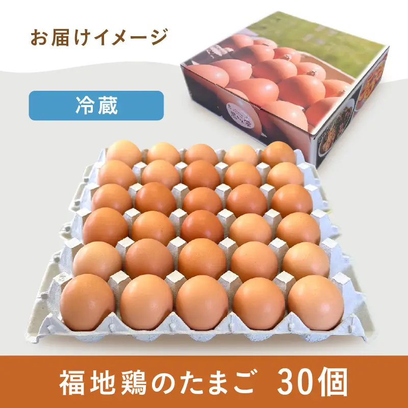 濃厚で甘くておいしい！ 福井ブランド「福地鶏」の卵 30個 ／ 卵 たまご 鶏卵 生卵 有精卵 高級 高級卵 福地鶏 鶏 平飼い 美味しい こだわり 卵かけご飯 料理 あわら市 福井県産 [aw036-a001]
