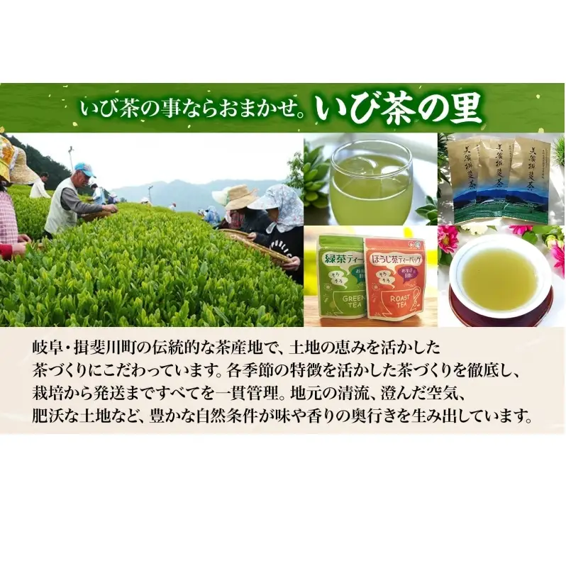 手軽に楽しむ美濃いび茶 お茶 ギフト 飲み比べセット 贈り物 御礼 来客用 お茶葉 緑茶 ティーパック ひも無し 上級深むし煎茶 焙じ茶 飲み比べセット ティーバッグ詰め合わせ 日本茶 粉末煎茶 自宅用 ホットアイス  いび茶の里 送料無料 岐阜県 揖斐川町