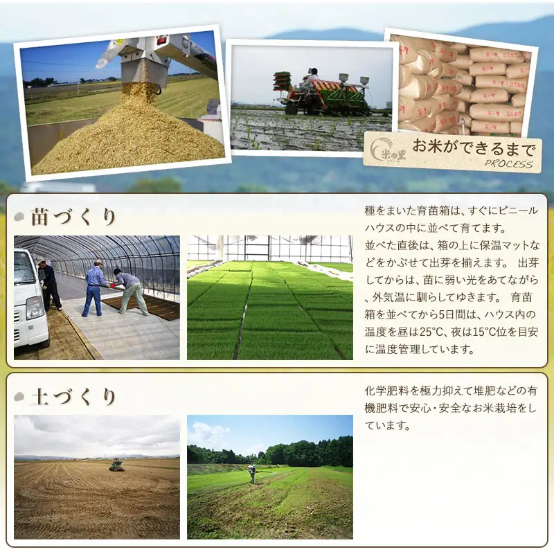 【令和8年産 新米】 米の里の特別栽培米 つや姫 精米 5kg　山形県鶴岡市産 | 白米 特栽 ブランド米 庄内 2026年産　K-845