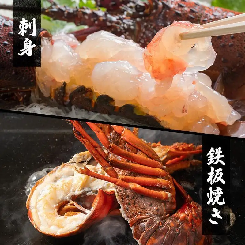 海鮮セット 年4回 定期便 アワビ 伊勢海老 刺身 海鮮セット