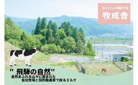 『牧成舎』 チーズたっぷり贅沢ピザ おまかせ 7枚セット | ピザ DF023