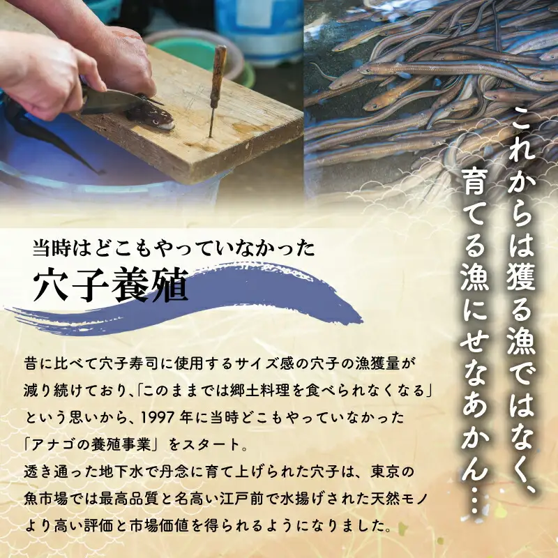 漁師町の郷土料理 穴子寿司 3個入り 穴子 あなご アナゴ 生 冷蔵 養殖 すし 寿司 限定 お祝い グランプリ 金賞 ３人前 押し寿司 旨味 ふわふわ I57