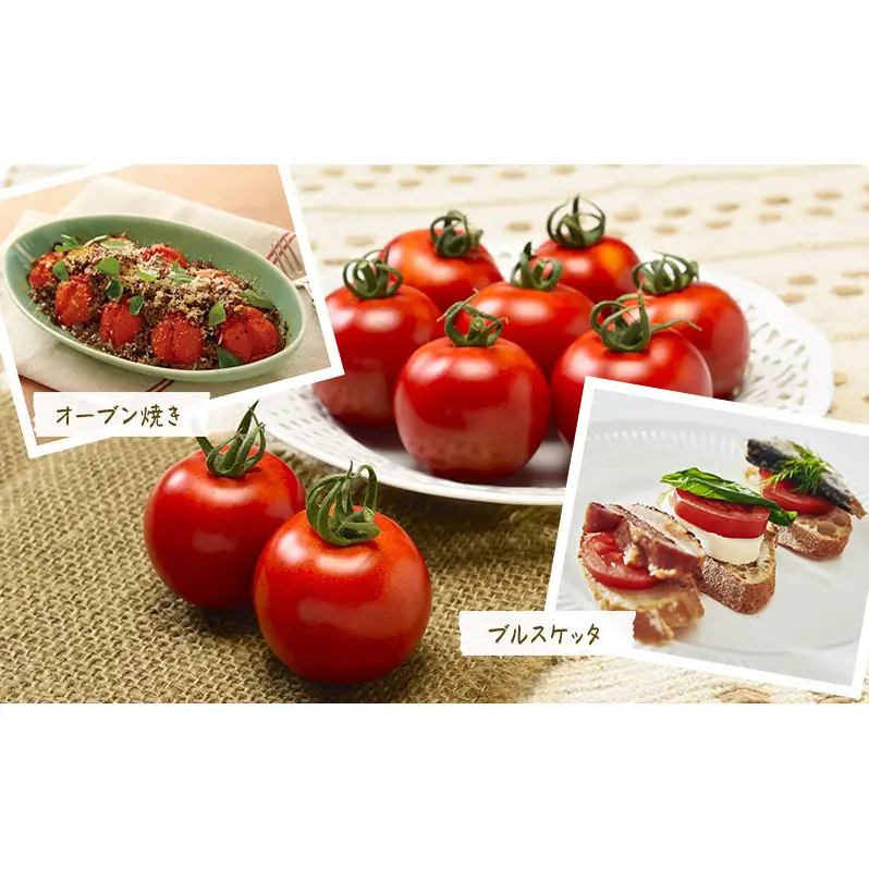 トマト 中玉 フルティカ 樹上完熟 農家直送 トマト【1.5kg】