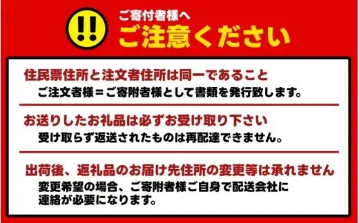 令和8年産 【赤肉】ひまわり メロン 2玉 ※9月中旬から10月中旬に順次発送 2玉 1箱 【sun514-aka-2A】
