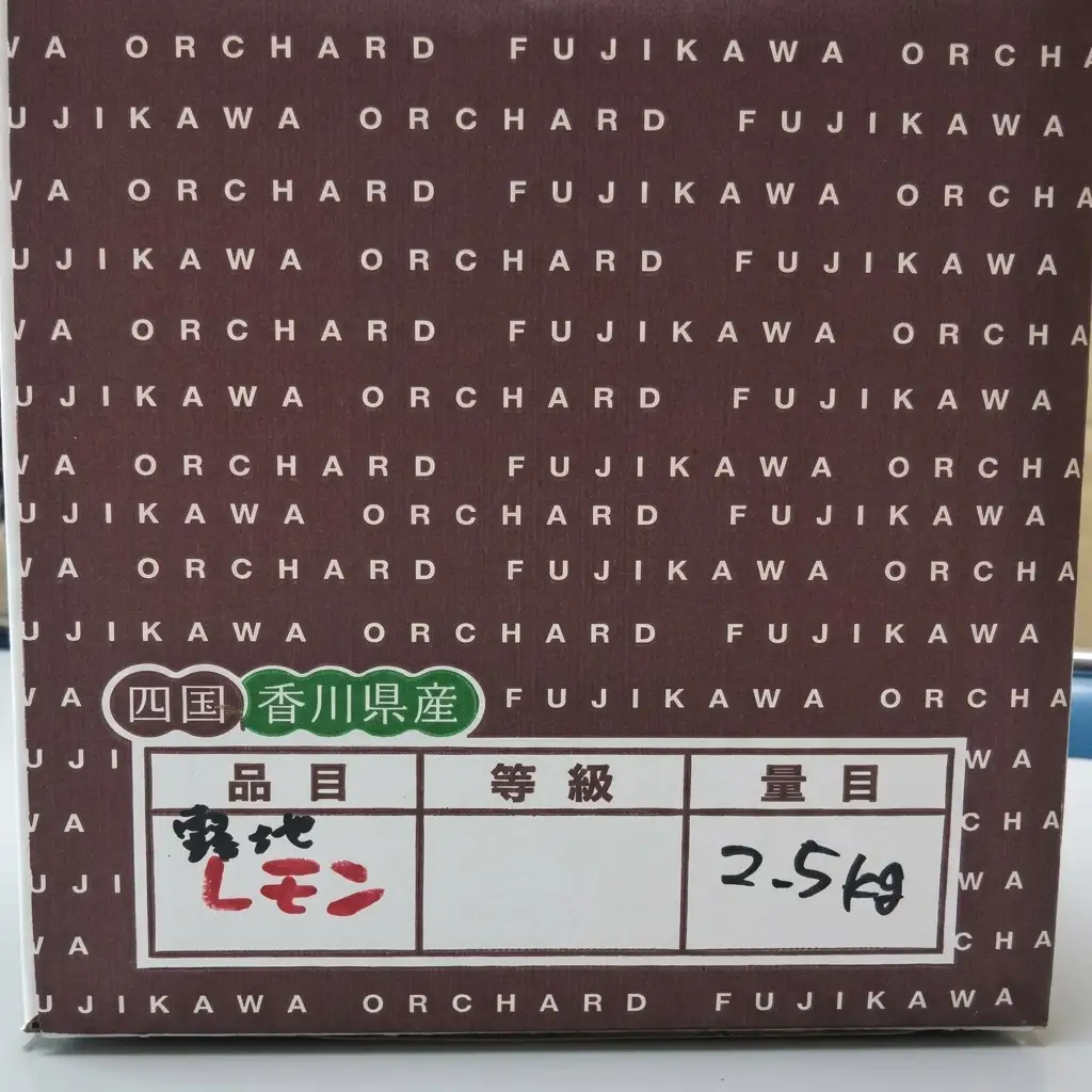 レモン イエローレモン 露地栽培 レモン【約2.5kg】【先行予約】